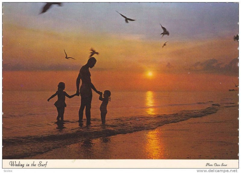 Wading in the Surf, Sunset Along Beach, South Carolina, 50-70´s