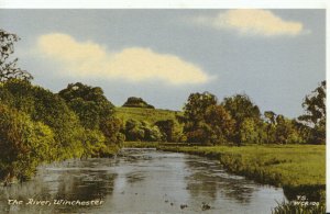 Hampshire Postcard - The River - Winchester - Ref TZ1862