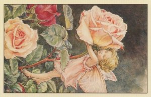 Narcissus Flower Fairy From WW2 Book Stunning Postcard