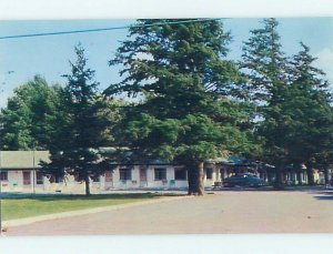Unused Pre-1980 OLD CARS & EVERGREEN MOTEL Oswego New York NY M0707