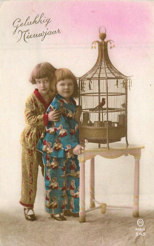1920s Hand Tint Children Birdcage kids RPPC Photo Postcard 22-9793