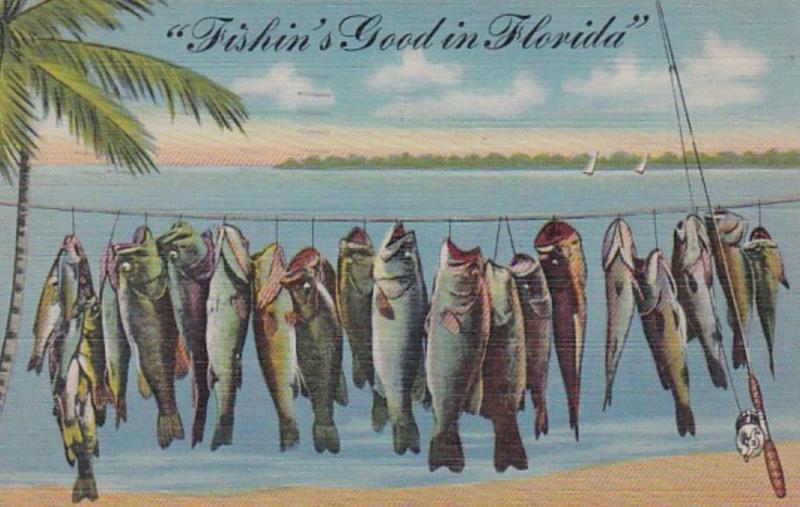 Florida Fishin's Good In Florida 1946 Curteich