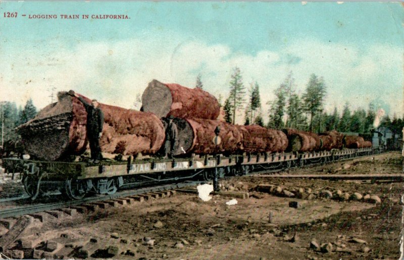1910 Log In Trains, Santa Cruz, California CA Posted Antique Postcard 