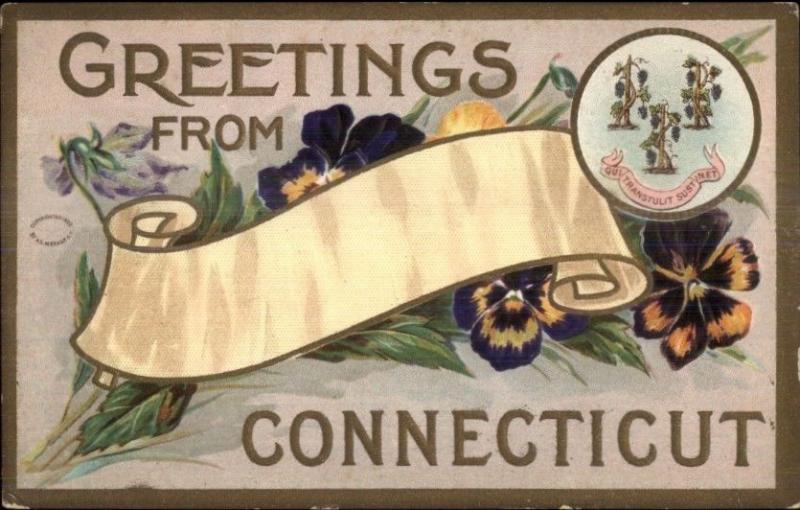 Greetings From Connecticut Embossed Floral etc c1910 Postcard