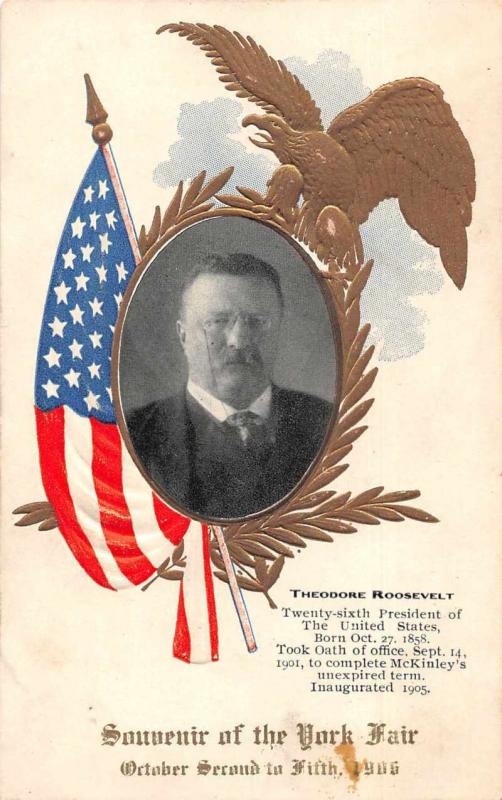 York Fair Theodore Roosevelt President Patriotic Vintage Postcard JD933316