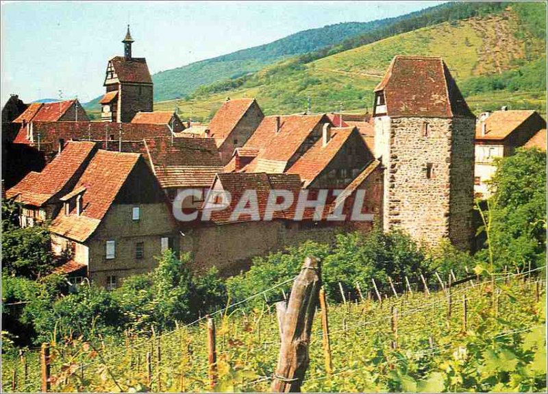 Modern Postcard Riquewihr Haut Rhin General view