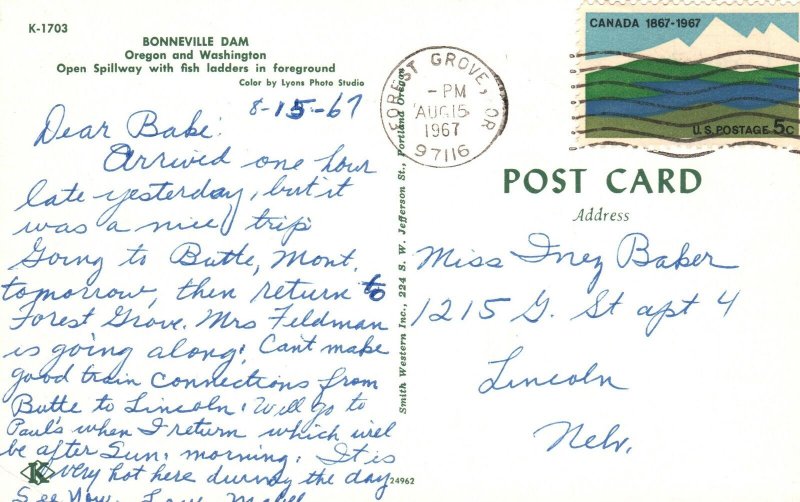 Bonneville Dam Open Spillway Fish Ladders Oregon And Washington Vintage Postcard