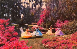 Winter Haven Florida~Dancing Southern Belles by Pink & White Flowers~1950s PC