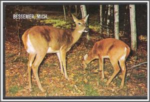 Michigan, Bessemer - Deer Mother Nature's Children - [MI-042]