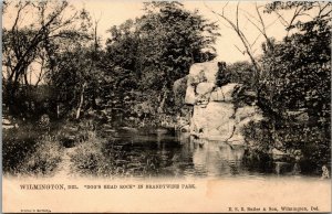 Vtg Wilmington Delaware DE Dog's Head Rock Brandywine Park pre-1908 Postcard