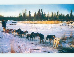 Pre-1980 HUSKY DOG TEAM Sitka & Juneau & Fairbanks & Anchorage Alaska AK AG6089