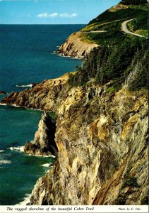 CONTINENTAL SIZE POSTCARD THE CABOT TRAIL ALONG THE SHORE OF CAPE BRETON N.S.