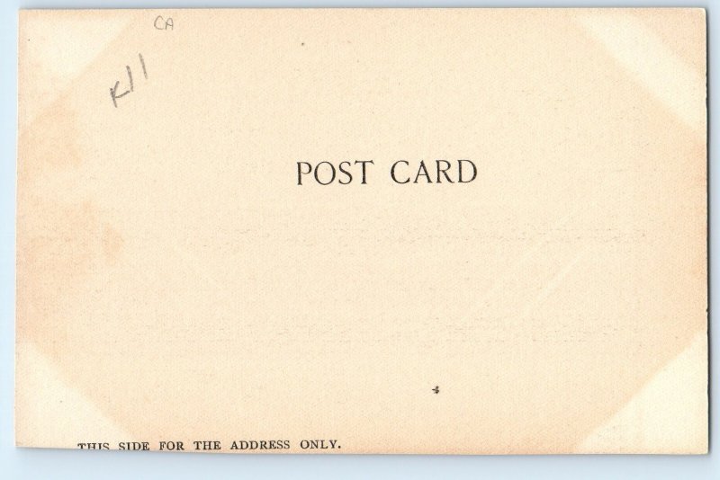 1905 Santa Catalina California Island Postcard Sugar Loaf Bay Beach Sea Waves