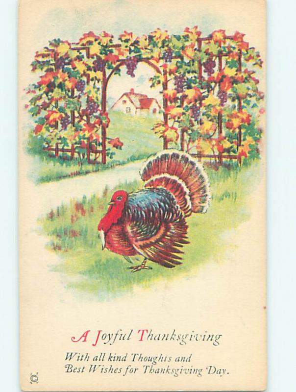 Pre-Linen thanksgiving TURKEY WALKS BY WALL COVERED BY COLORED LEAVES HQ7730-12