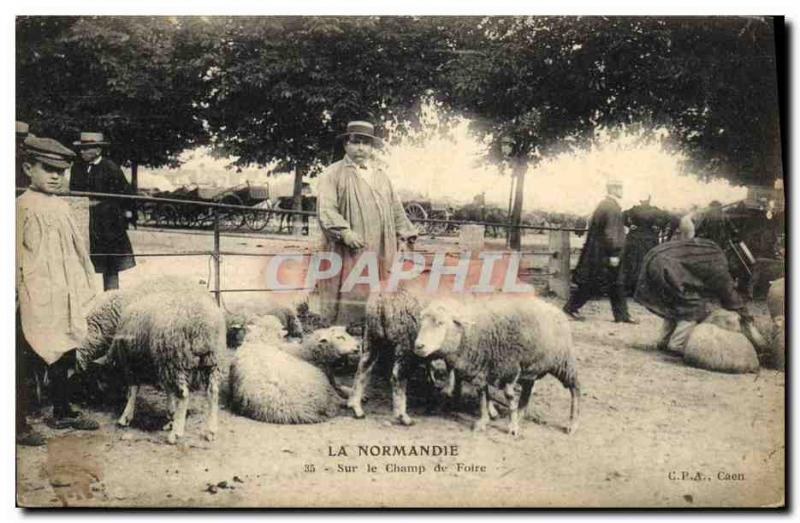 Old Postcard Folklore Normandy on the fairgrounds Sheep
