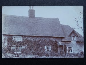 Suffolk THATCHED COTTAGE Old Lady & Gent with Dog c1908 RP PC Ipswich Postmark