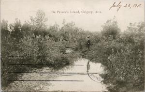 Prince's Island Calgary Alberta AB Park c1911 Postcard D87 