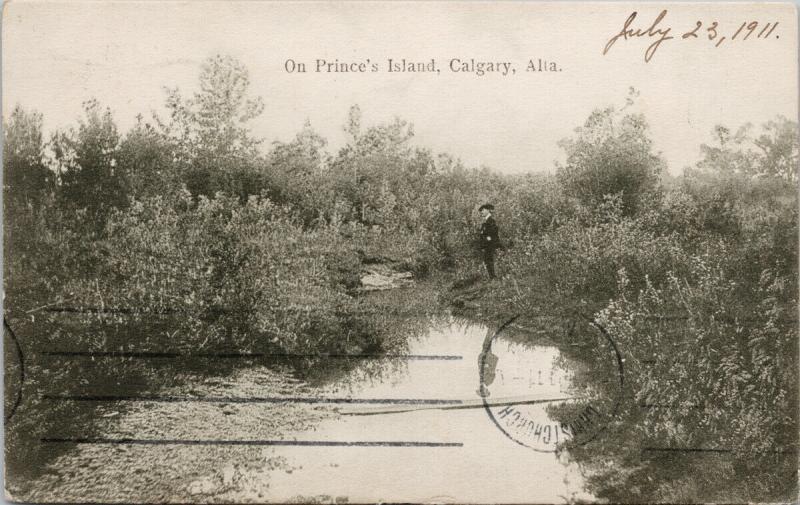 Prince's Island Calgary Alberta AB Park c1911 Postcard D87 