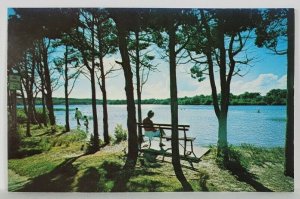 Scargo Lake Dennis Cape Cod Mass Woman on Bench Postcard R20