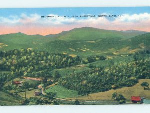 Linen NATURE SCENE Burnsville - Near Asheville North Carolina NC AD4401@