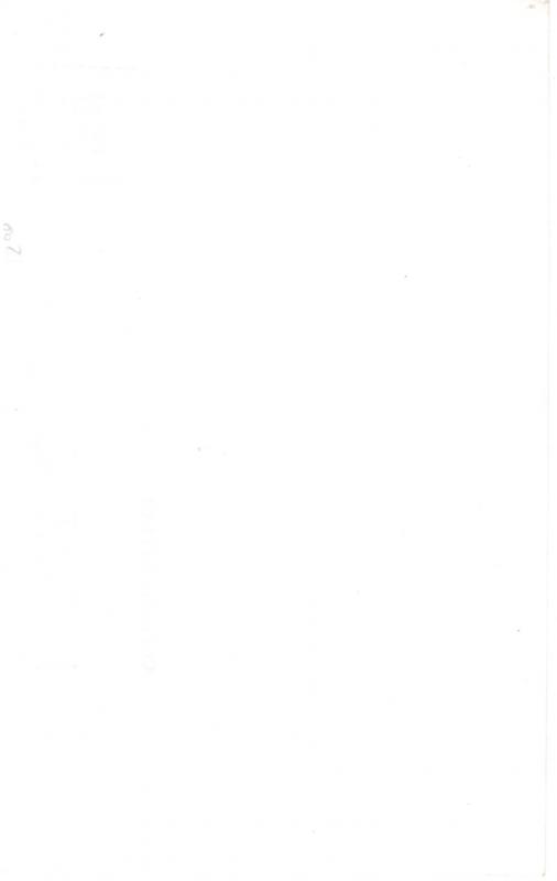 A RARE SPECIES, MONTANA JACK RABBIT