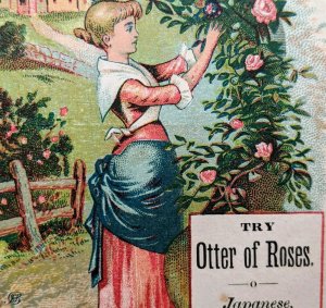 1880s Antique Otter of Roses TRADE CARD Cute Lady Picking Flower Housekeeper C53