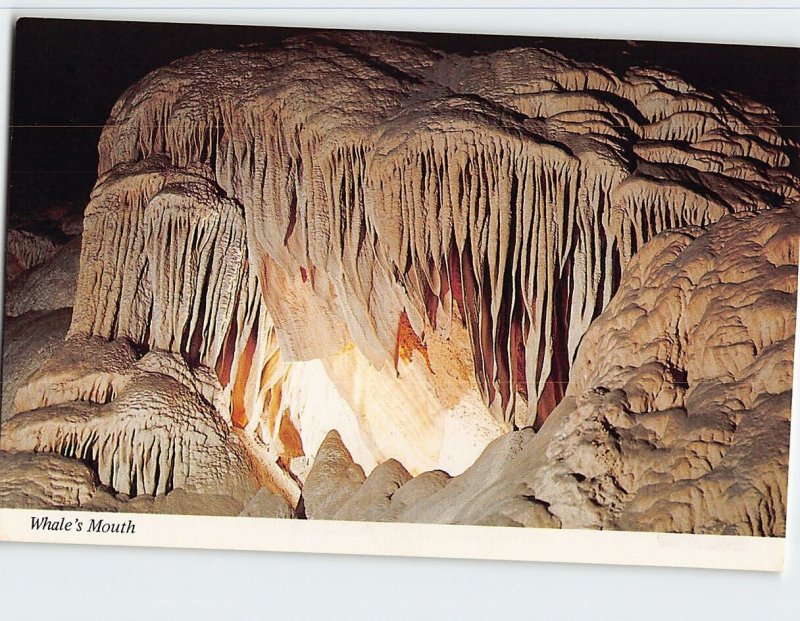 Postcard Whale's Mouth, Carlsbad Caverns National Park, Carlsbad, New Mexico