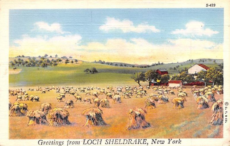 Greetings from Loch Sheldrake New York  