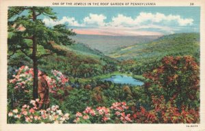 Postcard Garden Pennsylvania