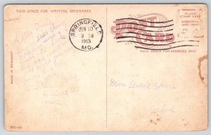 Springfield Missouri~Doling Park Lake Birds Eye View~Reflection~1915 Postcard