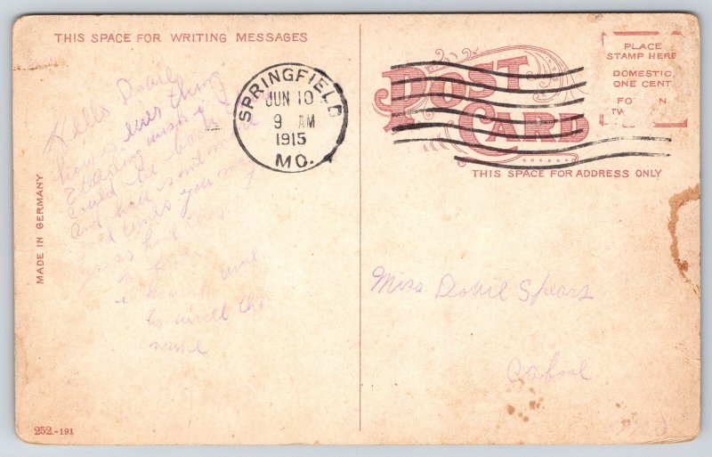 Springfield Missouri~Doling Park Lake Birds Eye View~Reflection~1915 Postcard