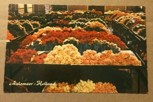 VINTAGE UNUSED POSTCARD INTERIOR FLOWER AUCTION, AALSMEER, HOLLAND, NETHERLANDS