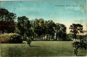 View of Washington Park, Oswego NY Vintage Postcard B48