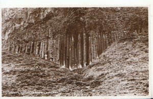 Northern Ireland Postcard - Giant's Organ - Giants Causeway - RP - Ref TZ1244