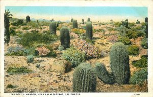 Postcard California Palm Springs Devil's Garden Willard Teich 23-8562