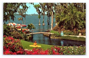 Cypress Gardens Florida Postcard Roses And Bougainvillea