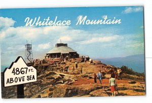 Adirondacks New York NY Vintage Postcard Summit House of Whiteface Mountain