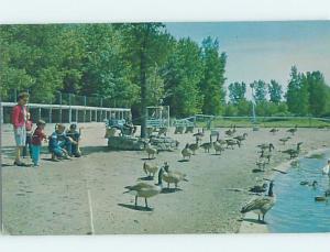 Pre-1980 WILDLIFE BIRD SANCTUARY ON BEACH Green Bay Wisconsin WI G6129