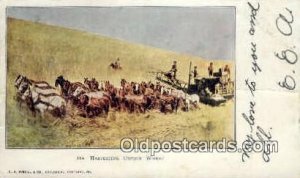 Harvesting Wheat - Misc, Oregon