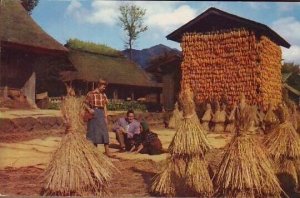 Japan farmyard in Oshimo Village mountain country near Fujiyama