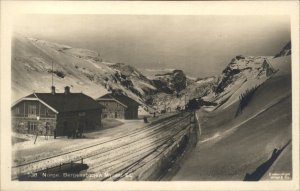 Vestland County Norway Bergen Railway Line Myrdal Station RPPC Vintage Postcard