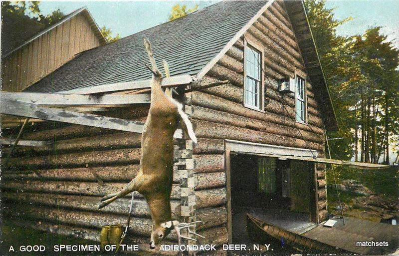 C-1910 Hunting Log Cabin Adirondack Deer New York Leighton undivided 11679