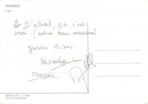 Beaver caricature ski