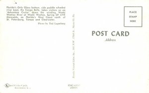 The Congo Bell Weeki Wachee Springs, Florida