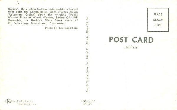The Congo Bell Weeki Wachee Springs, Florida