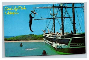 Vintage 1970 Postcard Jumping Whale at Sea Life Park Makapuu Hawaii