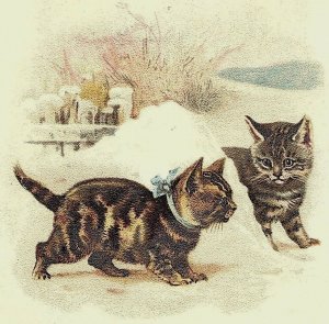 1890's Dekum Bros. Superior Stoves Portland, OR Kittens Victorian Trade Card F45