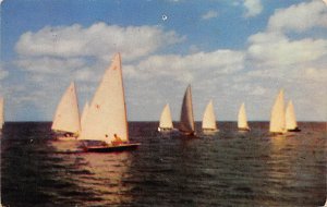 Races On Little Egg Harbor A Sportsman's Delight Long Beach Island NJ 