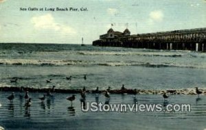 Sea Gulls - Long Beach, CA