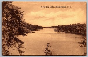 1910's Awosting Lake Minnewaska New York NY Tourist Attraction Posted Postcard 